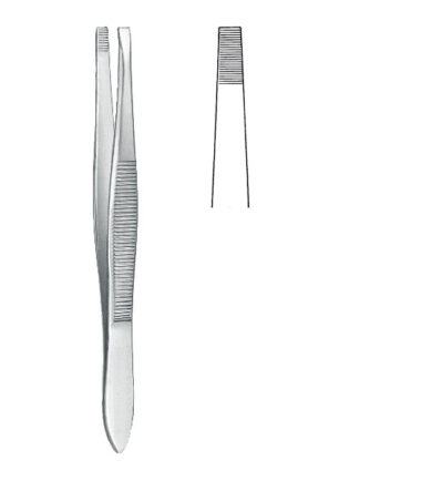 Cilia Forceps