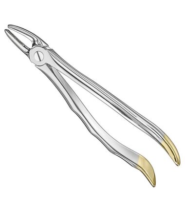 extracting-forceps-2